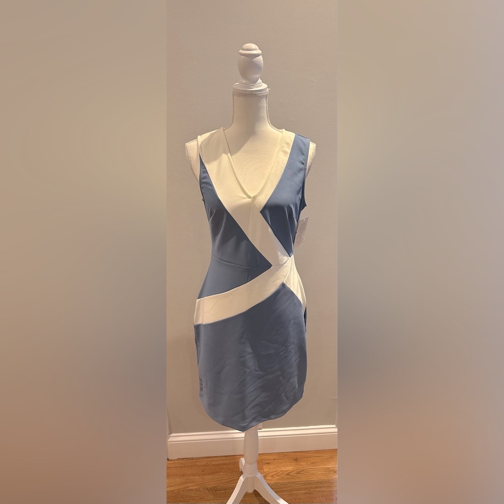 Boston Proper Sheath Dress